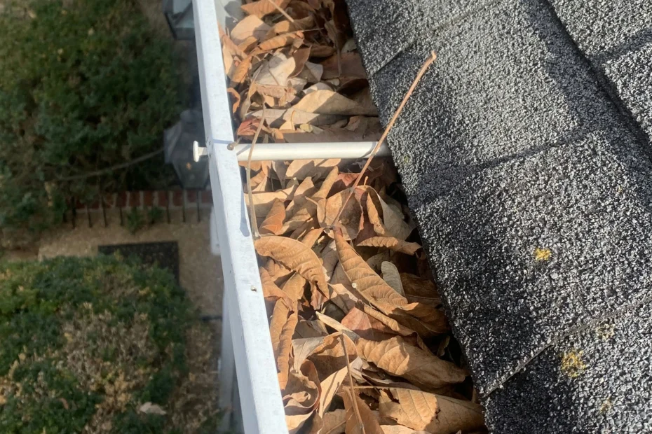 Gutter Cleaning Sandtown