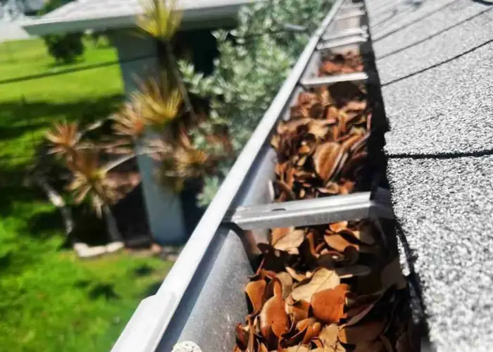 Gutter Cleaning Sandtown home page